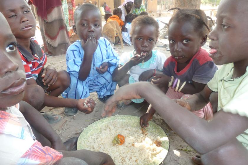 Délégation tarnosienne à l'inauguration du lycée bissau-guinéen. 2012